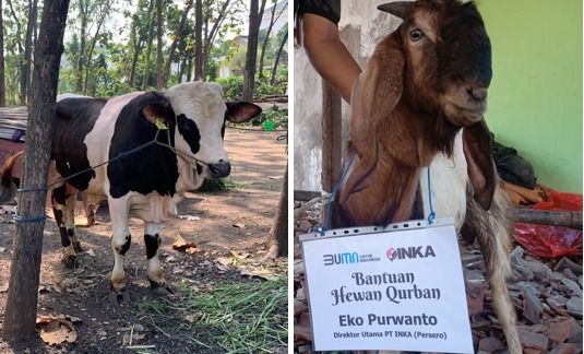 PT INKA (Persero) Bagikan Hewan Qurban ke Warga Sekitar
