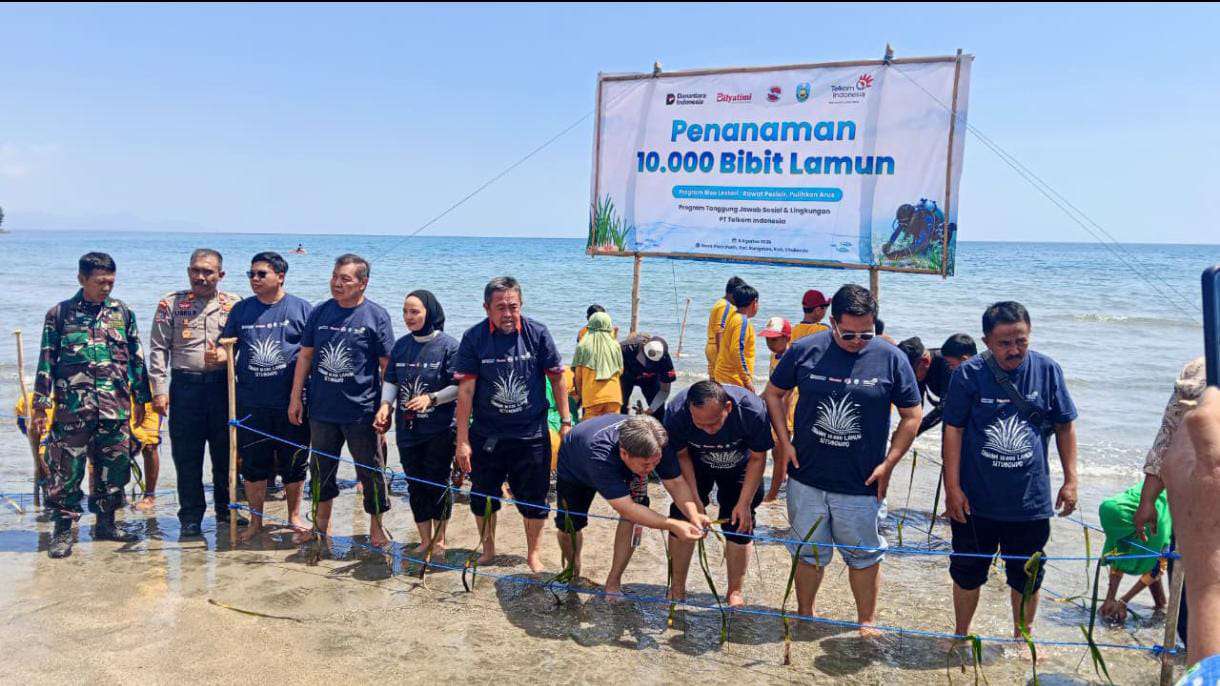 Wujudkan Laut Lebih Biru, Telkom Regional 3 Tanam 10.000 Bibit Lamun di Pantai Pasir Putih Situbondo